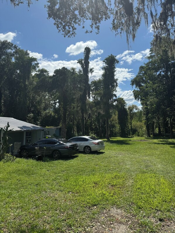 Property grounds - Moon Lake Cottage Retreat in New Port Richey - 3 br/1bath w/ RV Access! (New Port Richey)