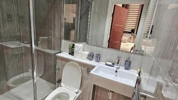 Shower, hair dryer, towels