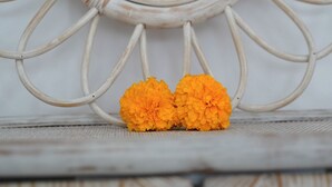 Un espejo decorativo con un marco similar al sol y dos flores de cempasúchil al frente.