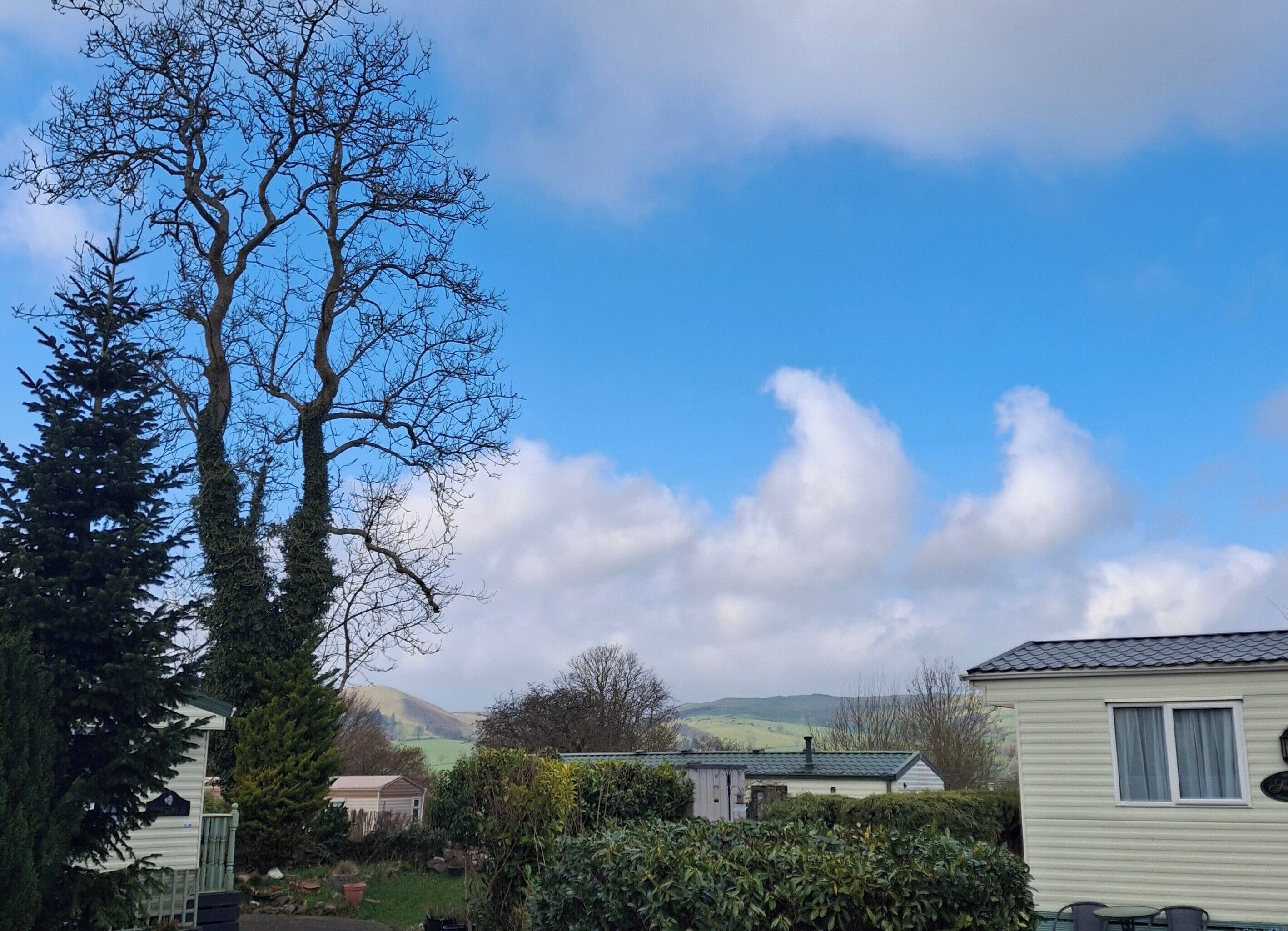 A caravan park with a clear sky, a large leafless tree, and rolling hills in the background.