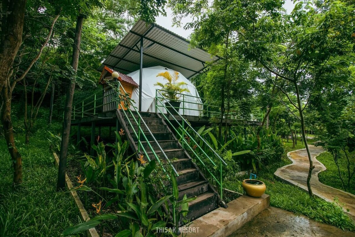 A staircase leading to a covered structure surrounded by lush greenery.