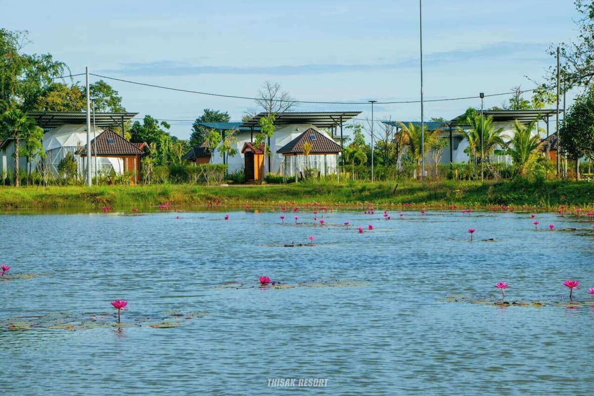 Quarto duplo luxo, vista para a montanha | Roupas de cama premium, cofres nos quartos, escrivaninha