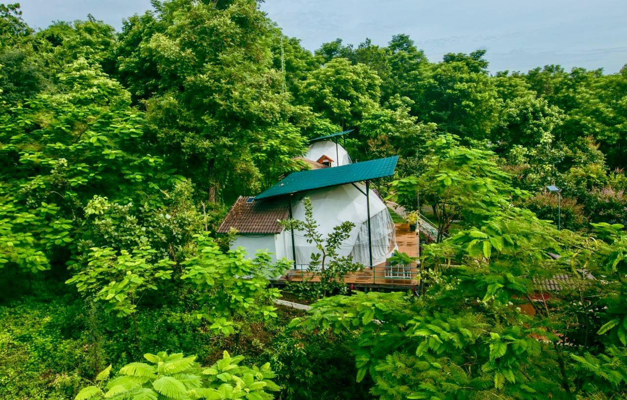 Un bâtiment blanc surmonté d’un toit vert, entouré d’un feuillage verdoyant et luxuriant.
