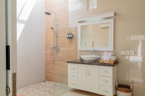 Shower, hair dryer, bidet, towels