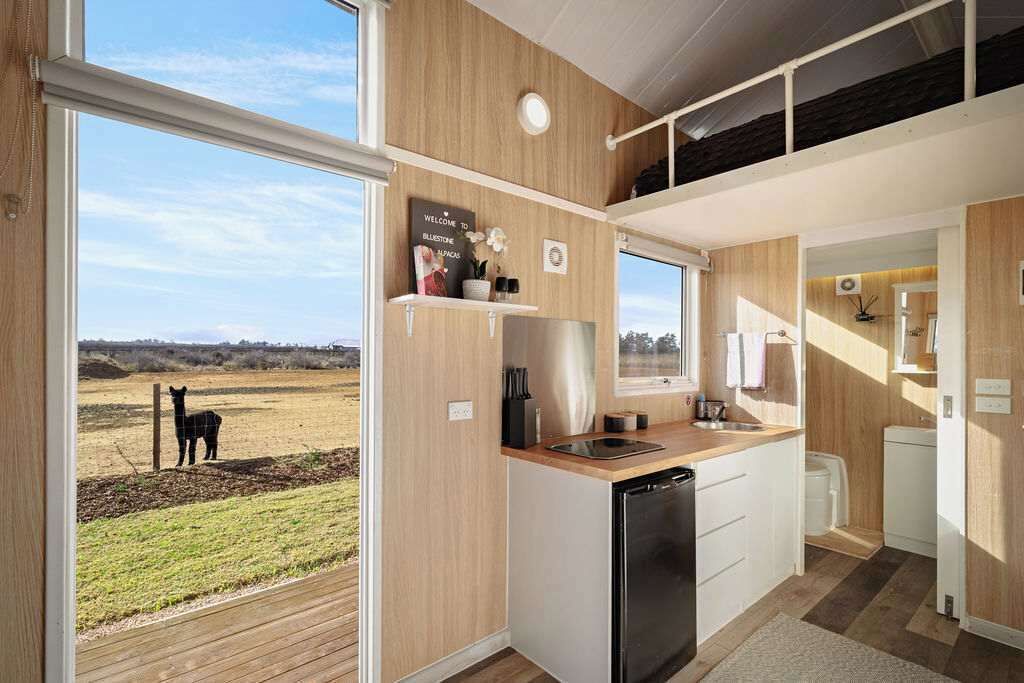 Fridge, microwave, stovetop, toaster