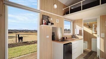 Kühlschrank, Mikrowelle, Herdplatte, Toaster