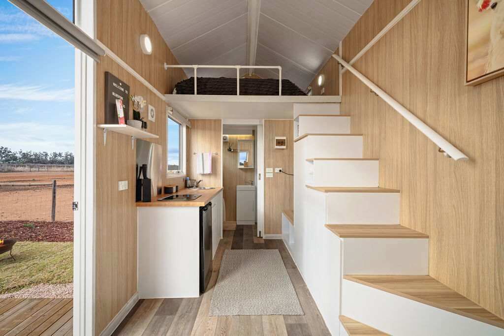 Kühlschrank, Mikrowelle, Herdplatte, Toaster