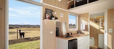Fridge, microwave, stovetop, toaster