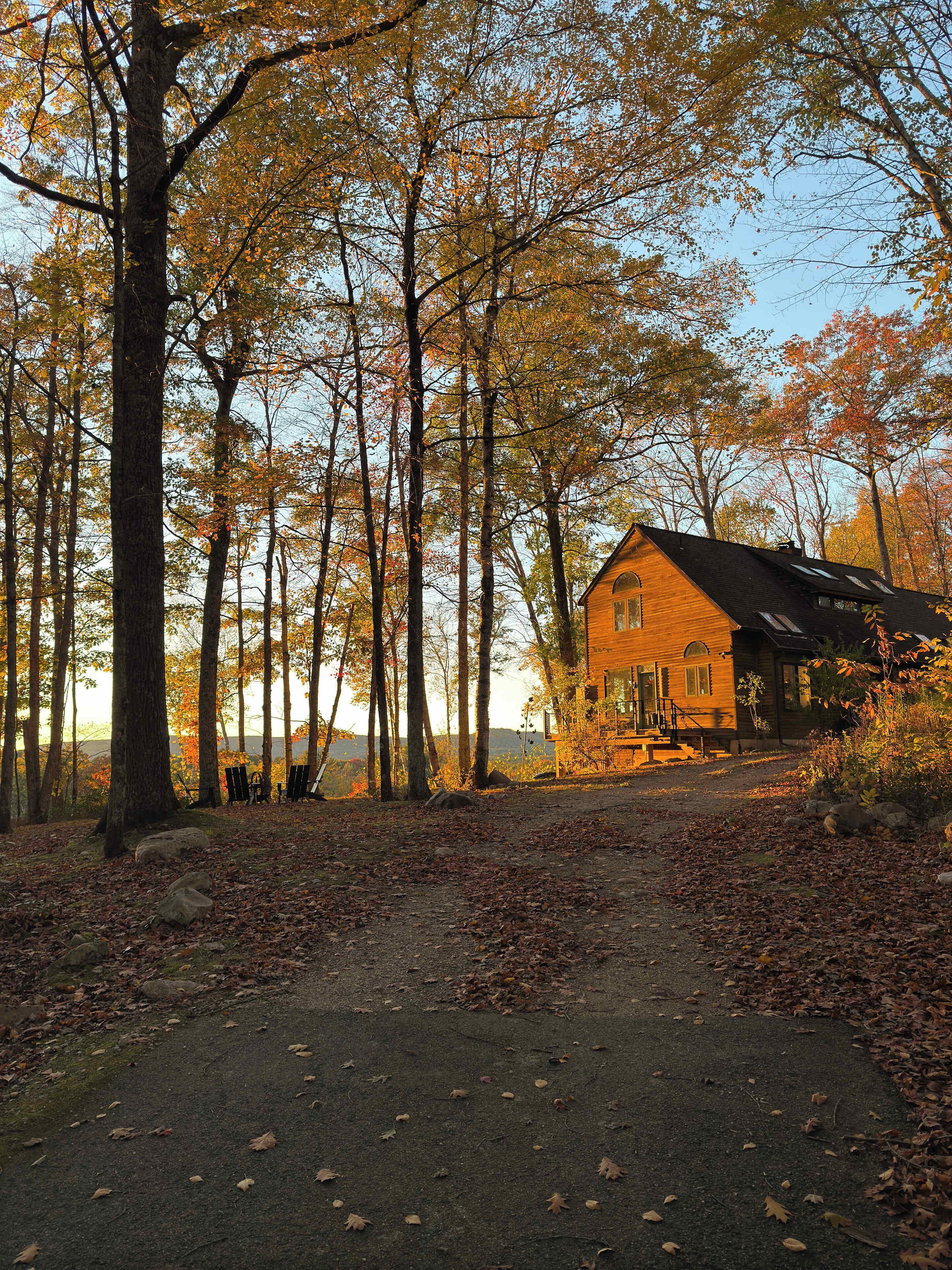 Un chalet rustique entouré de grands arbres aux feuilles d’automne.