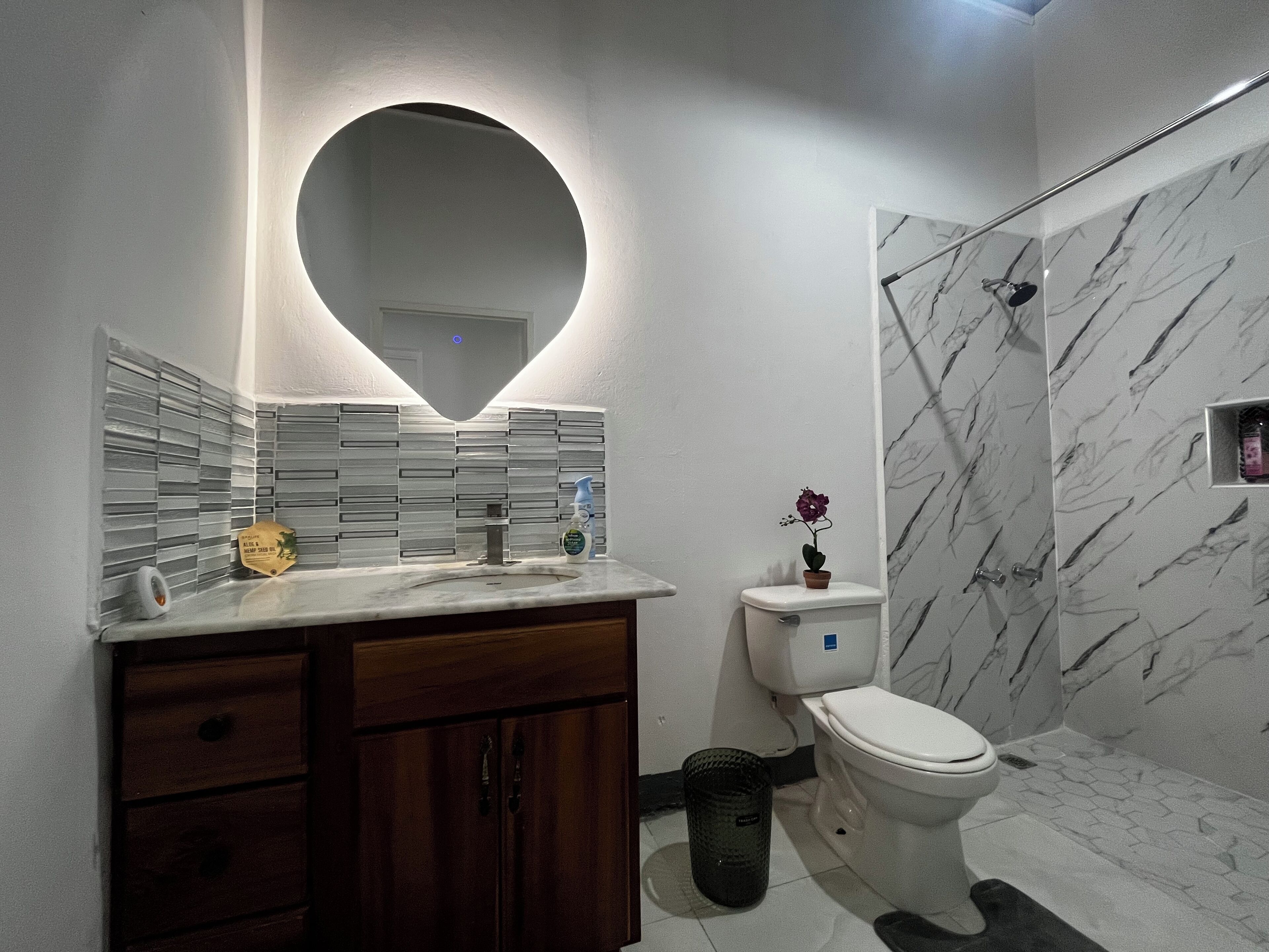 Shower, towels, soap, toilet paper