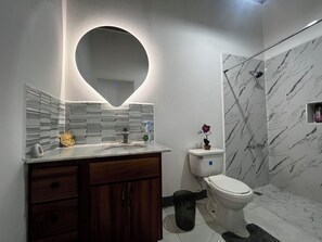 Shower, towels, soap, toilet paper