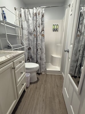 Shower, hair dryer, towels, soap