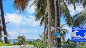 A coastal pathway with a tsunami warning sign, palm trees, and a view of the ocean.