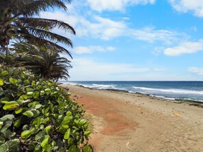 Playa en los alrededores 