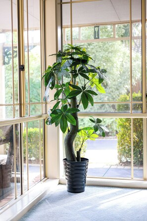 DĂ©tail de lâintĂ©rieur