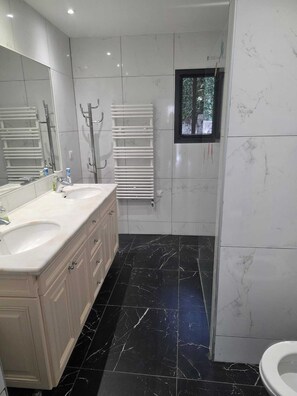 Hair dryer, towels, toilet paper