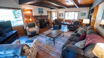 TV, fireplace, books