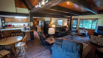 TV, fireplace, books