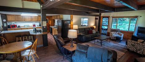 TV, fireplace, books