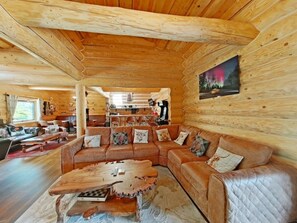 TV, caminetto, videogiochi