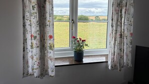 A room with a window featuring floral curtains and a potted plant with red flowers.