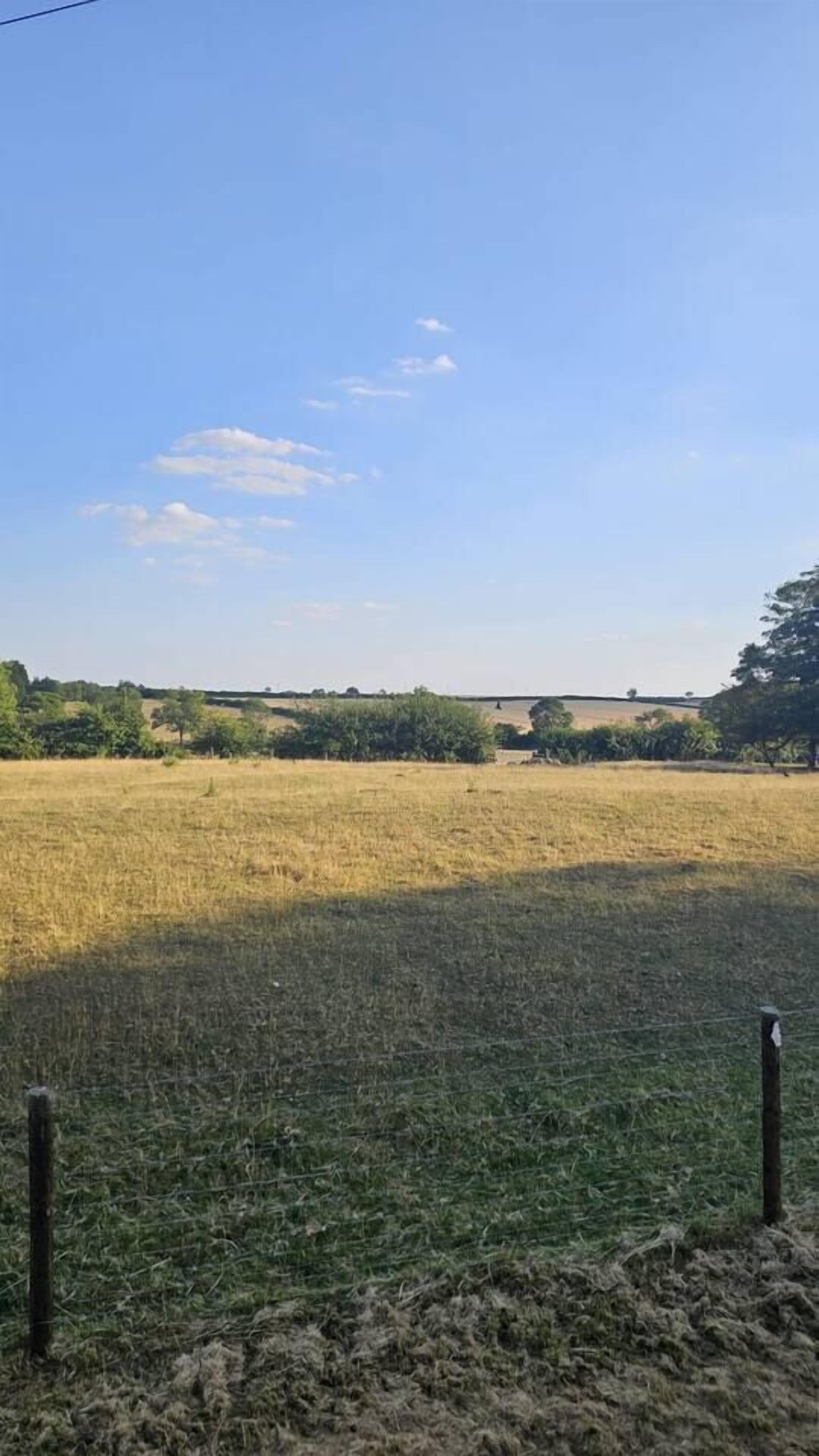 A rural landscape with a field, trees, and a distant structure.