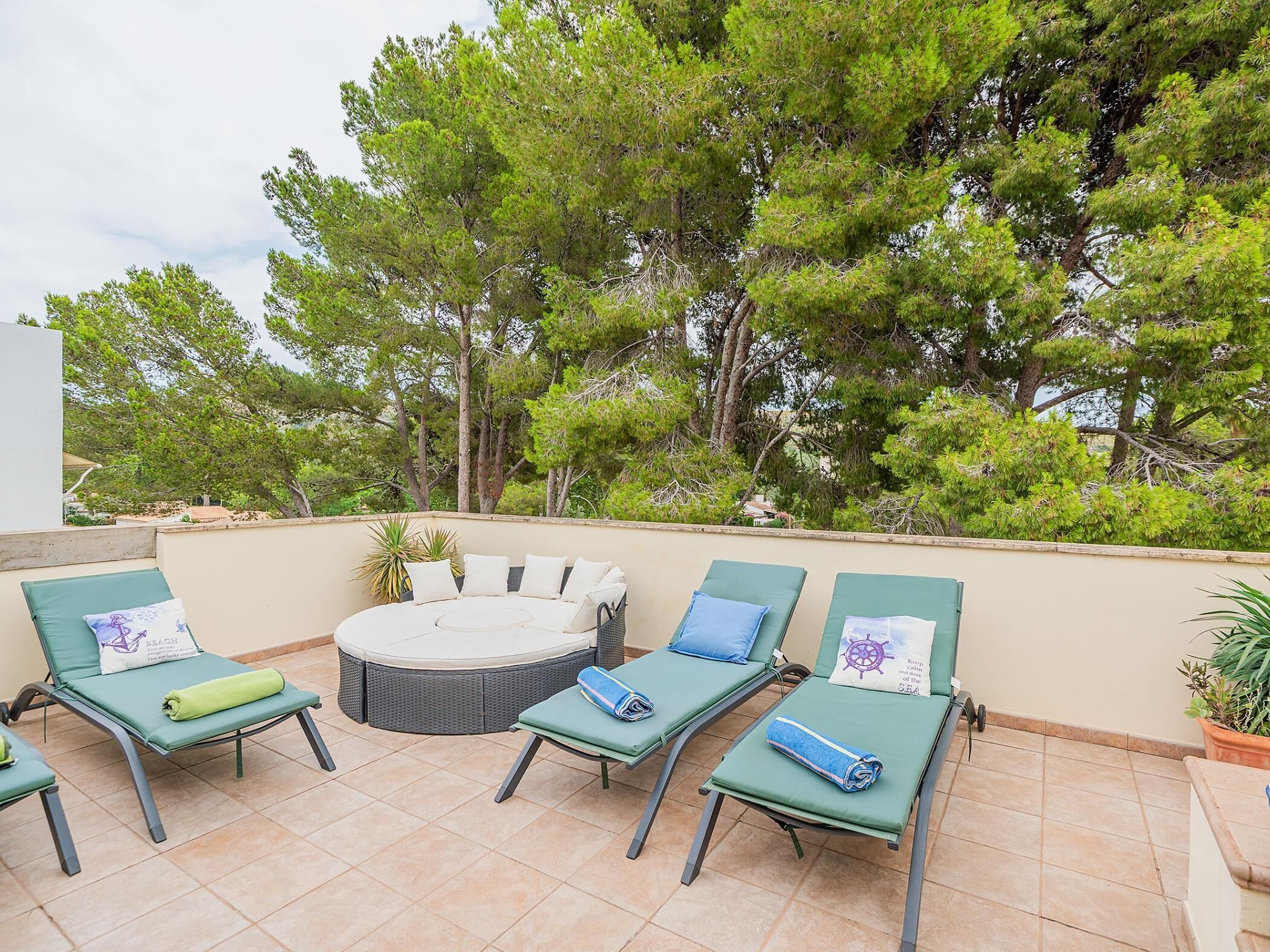 Una terraza en la azotea con cuatro sillones, una mesa redonda y una planta en maceta.