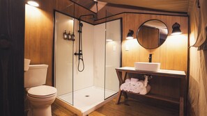 Shower, towels, soap, toilet paper