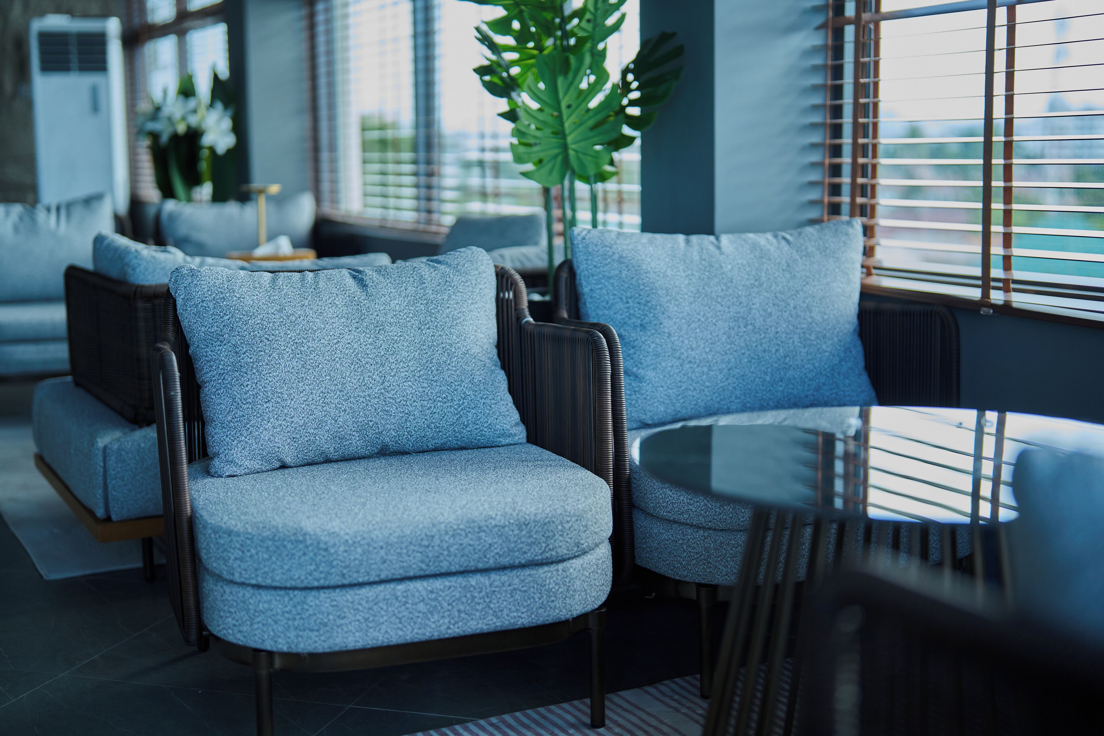 Et moderne loungeområde med sofa og lænestole, et lille bord og en stor plante.