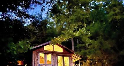 Whimsical Wildwood Studio