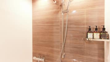 Combined shower/bathtub, free toiletries, hair dryer, towels