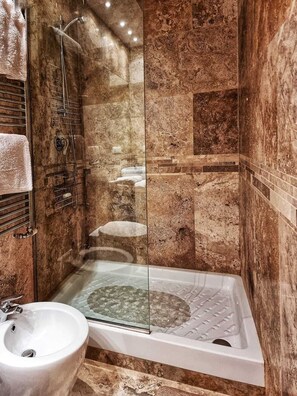 Shower, hair dryer, bidet, towels
