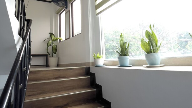 A staircase with wooden steps and a metal railing, leading to a landing with potted plants and a window with a view of trees.