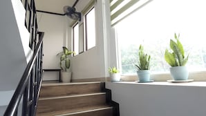 A staircase with wooden steps and black railings, leading to a landing area with potted plants.