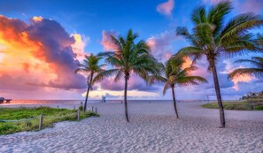 A beach with palm trees and a wooden fence.