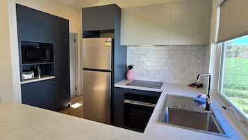 Full-sized fridge, microwave, oven, stovetop
