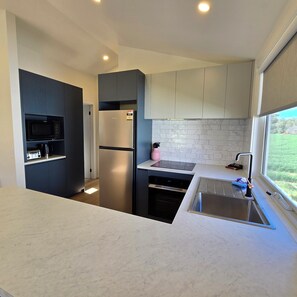 Full-sized fridge, microwave, oven, stovetop