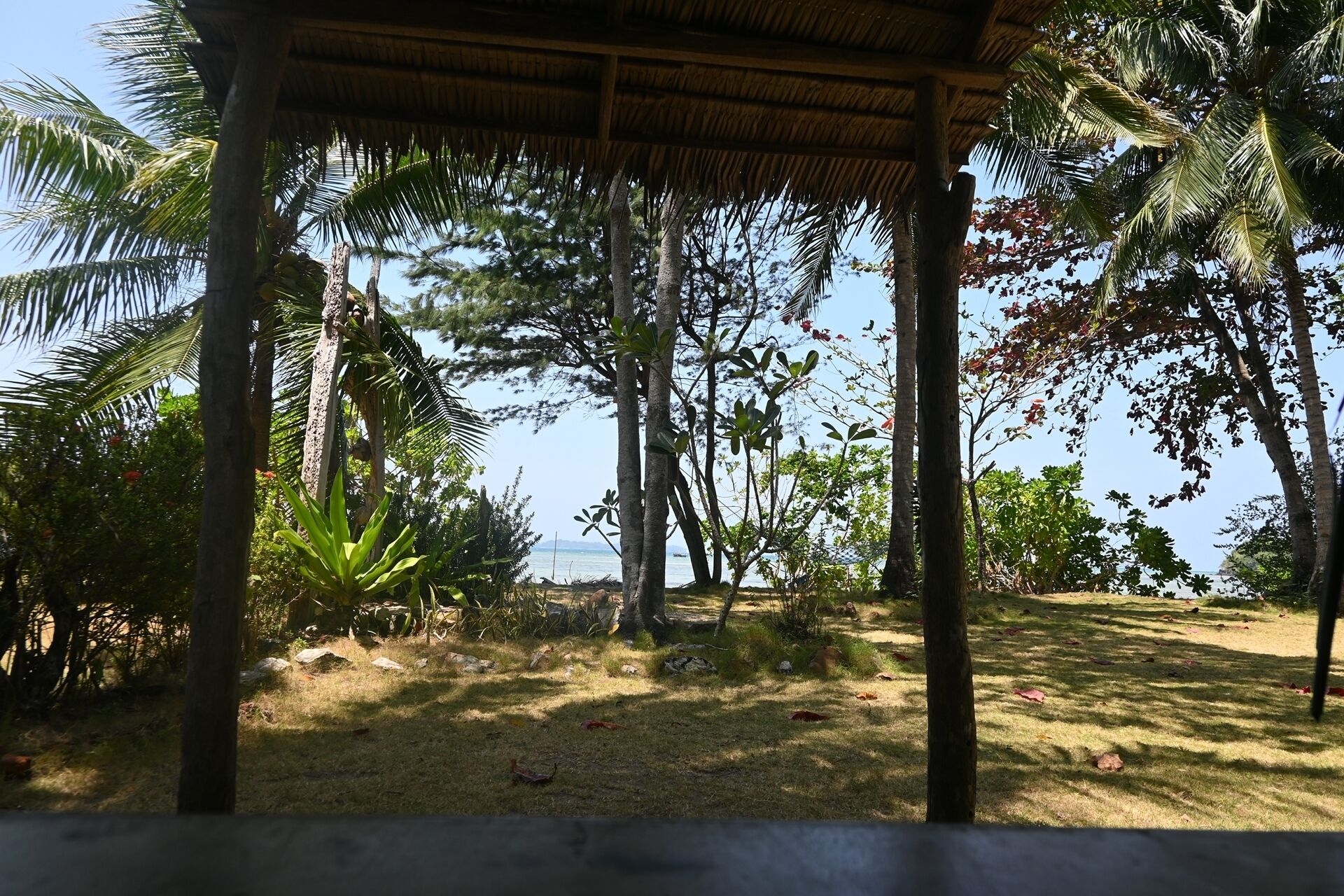 A covered outdoor area with a view of the sea, surrounded by palm trees and other vegetation.