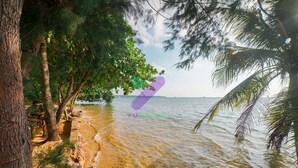 A beach with clear water, trees, and a rocky shoreline.