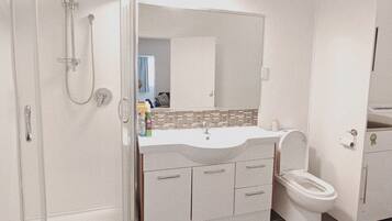 Une salle de bain avec douche, toilettes et lavabo.