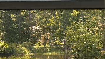 A view through a window of a natural landscape with a body of water, trees, and a building in the background.