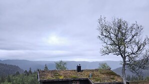 Uklassifisert bilde, 4 av 24, knapp