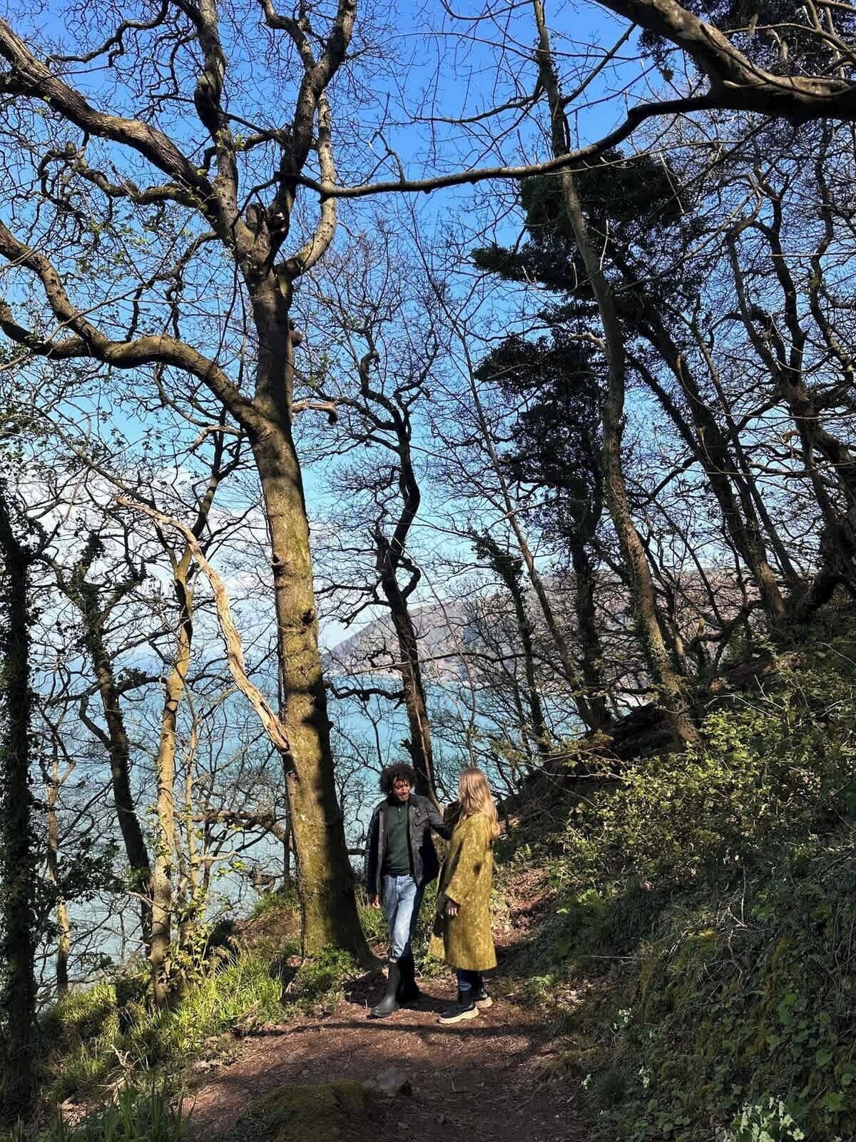 Une zone boisée avec un sentier de terre.