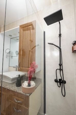 Regadera, secadora de cabello, bidet, toallas 