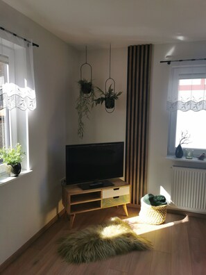 TV