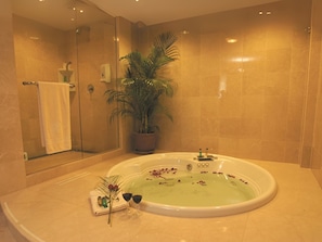 Studio | Bathroom | Shower, hair dryer, towels, soap