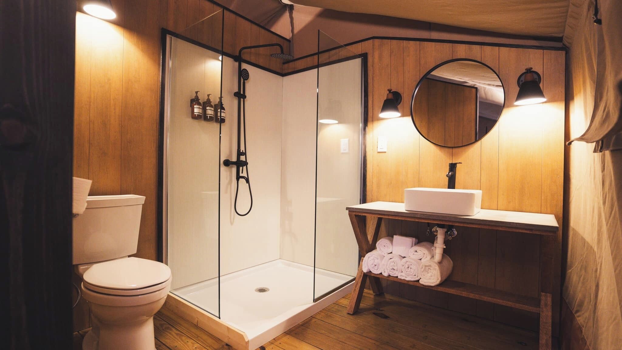 Shower, towels, toilet paper