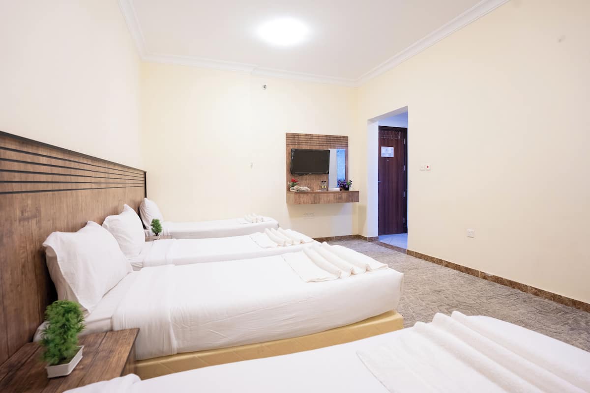 Ein Hotelzimmer mit zwei Betten, einem Holzkopfstück, einer kleinen Pflanze und einem Spiegel über dem Bett.