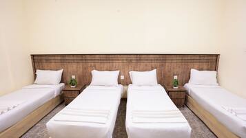 Minibar, tabla de planchar con plancha, wifi gratis y ropa de cama