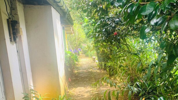 Un estrecho sendero de piedra bordeado de exuberante vegetación y un edificio con tejado de baldosas.